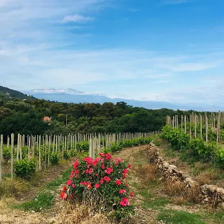 Hameau Au Soleil * Plage dʼArgelès